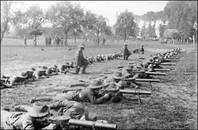 Quel pays a d&eacute;clar&eacute; la guerre aux &eacute;meus lors de la "Grande Guerre des &Eacute;meus" en 1932 ?