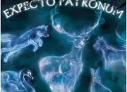 Quiz Tout sur les patronus Harry Potter
