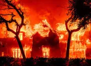 Quiz Le feu en culture générale !