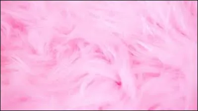 Qui est l'interpr&egrave;te de la chanson "La Vie en Rose" sortie en 1946 ?
