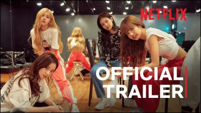 Quel est le nom du documentaire Netflix consacr&eacute; au c&eacute;l&egrave;bre groupe de K-pop Blackpink ?