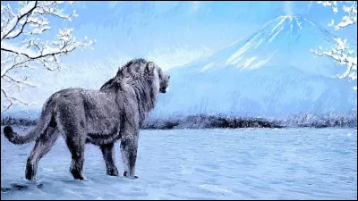 Comment dit-on lion ?