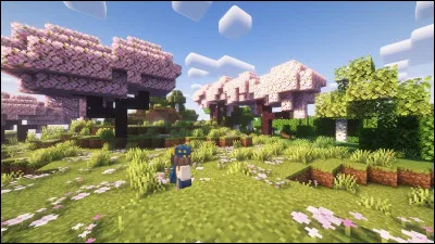 Vous venez de faire un build de fou sur Minecraft mais votre PC crashe juste avant que vous ne sauvegardiez. Quelle est votre r&eacute;action ?