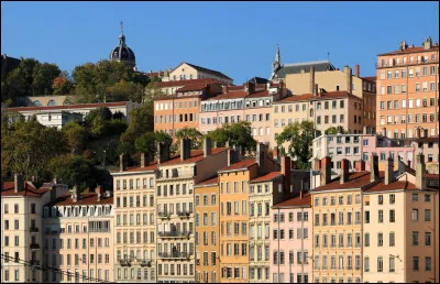 Vous vous promenez tranquille &agrave; la Croix-Rousse et vous marchez sur une crotte. Quelle est votre r&eacute;action ?