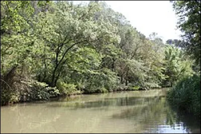 ''L'Arc'' est un fleuve c&ocirc;tier qui prend sa source dans le 83, donc dans quel d&eacute;partement ?