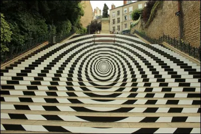 Elle est &eacute;galement c&eacute;l&egrave;bre pour son escalier monumental Denis Papin, d&eacute;cor&eacute; de fresques et souvent transform&eacute; en &oelig;uvre artistique &agrave; ciel ouvert lors d&rsquo;&eacute;v&eacute;nements culturels. De quelle ville s'agit-il ?