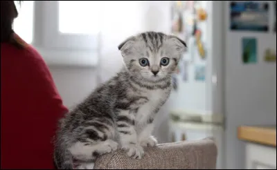 Il est adorable, mais o&ugrave; se trouve sa m&egrave;re ?
