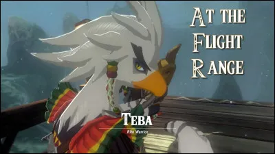 Comment se nomme le peuple de l'air dans Zelda ?