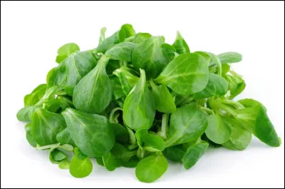 Quel est le nom de cette salade ?