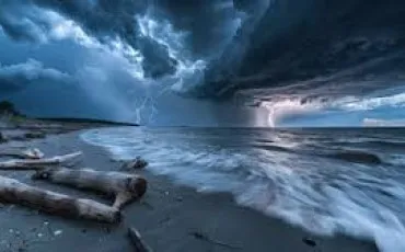 Quiz Nature