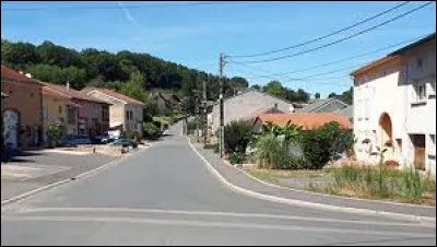 Village de l'arrondissement de Sarrebourg-Ch&acirc;teau-Salins, sur les bords de la Sarre, Laneuveville-l&egrave;s-Lorquin se situe dans le d&eacute;partement ...