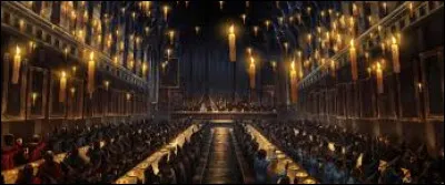 C&eacute;dric Diggory appara&icirc;t, un sac de voyage sur l'&eacute;paule, expliquant qu'il a pass&eacute; l'&eacute;t&eacute; &agrave; s'entra&icirc;ner pour rester au top. Il &eacute;tait tr&egrave;s inspir&eacute; par le plus attrapeur de Quidditch du moment, qu'il a pu voir &agrave; la Coupe du monde ! Rappelez-moi son nom...