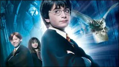 Fred et George surgissent de derri&egrave;re un buisson, couverts de paillettes, expliquant qu'ils ont pass&eacute; l'&eacute;t&eacute; &agrave; tester des inventions. Ils montrent une bo&icirc;te qui explose en confettis violets qui se transforment ensuite en papillons ! Ils ont h&acirc;te de la pr&eacute;senter &agrave; la vente dans leur magasin...