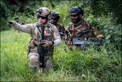 Combien de soldats fran&ccedil;ais ont &eacute;t&eacute; mobilis&eacute;s ?
