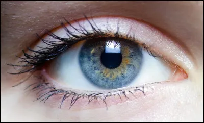De quelle couleur sont ses yeux ?