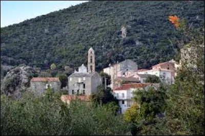 Village de l'arrondissement de Corte, Tox se situe dans le d&eacute;partement ...