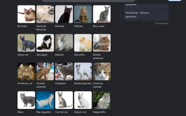 Quiz Test de personnalité