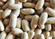 Quiz Macédoine de culture générale (214)