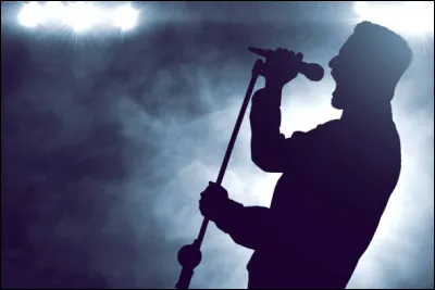 Quel chanteur n&eacute; &agrave; Cayenne est l'interpr&egrave;te du titre ''Robert'' ?