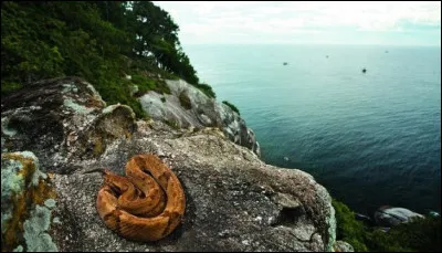 Me voil&agrave; sur l&rsquo;&icirc;le de Queimada Grande. Une bien mauvaise id&eacute;e puisqu'elle est surnomm&eacute; "l'&icirc;le aux serpents" et a la r&eacute;putation d'&ecirc;tre le lieu abritant la population de serpents la plus dense de la plan&egrave;te. Oups. O&ugrave; suis-je ?