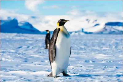 Alors, comment s&rsquo;est pass&eacute; ton voyage en Antarctique ?