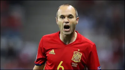 Qui a marqu&eacute; le but victorieux de l'Espagne en finale de la Coupe du monde 2010 ?