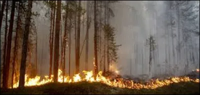 Qui chantait : "Terre br&ucirc;l&eacute;e au vent" ?