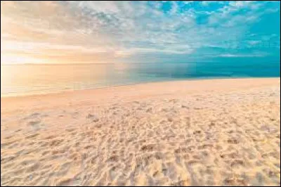 Qui chantait : "Seul sur le sable, les yeux dans l'eau" ?