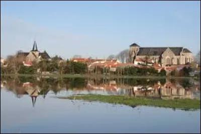 Pour finir, je vous emm&egrave;ne dans les Pays-de-la-Loire, &agrave; Sallertaine. Ville de l'arrondissement des Sables-d'Olonne, elle se situe dans le d&eacute;partement...