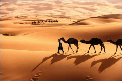 Quel est le plus grand d&eacute;sert du monde ?