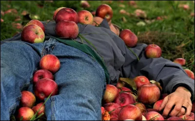 Que signifie l'expression &laquo; Tomber dans les pommes &raquo; ?