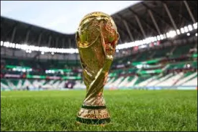La France a remport&eacute; deux fois la Coupe du monde de football.