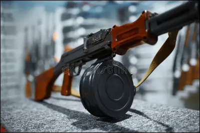Quel autre nom donne-t-on au magasin d'une arme ?