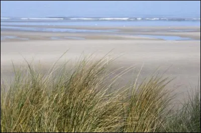 Comment appelle-t-on la zone de la partie du littoral situ&eacute;e entre les limites extr&ecirc;mes des plus hautes et des plus basses mar&eacute;es ?