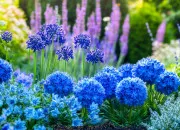 Quiz Anglais : les couleurs