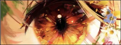 De quelle couleur veux-tu tes yeux ?