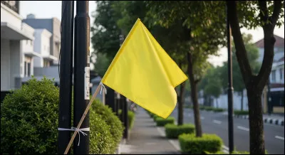 Le drapeau jaune signale un danger sur la piste.