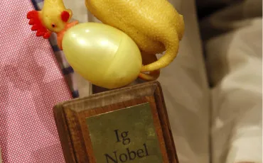 Quiz Insolites