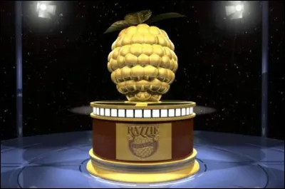 Les Razzie Awards distinguent le pire du cin&eacute;ma aux &Eacute;tats-Unis. Quel acteur en a remport&eacute; douze dont plusieurs pour les s&eacute;ries de films Rambo et Rocky ?