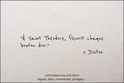 Quelle phrase c&eacute;l&egrave;bre les Mandaloriens utilisent-ils souvent ?