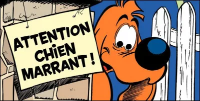 Ce chien marrant est issue de la BD...