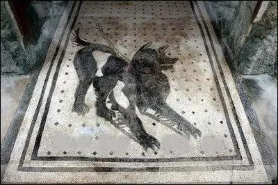 Quelle inscription pr&eacute;venait, chez les Romains, la pr&eacute;sence d'un chien dans la maison ?