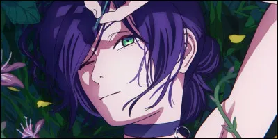 Quel anime pr&eacute;f&egrave;res-tu parmi eux ?