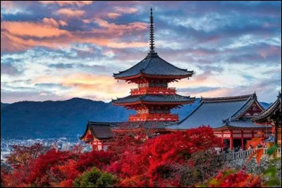 Quelle est la monnaie officielle du Japon ?