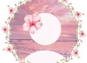 Test Quelle est ta photo de profil ?