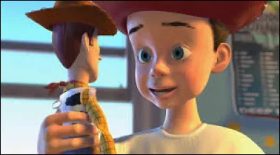 A quel jeune gar&ccedil;on appartiennent Woody et les jouets ?