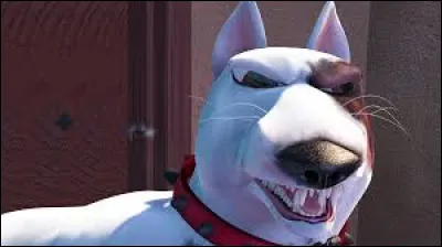 Comment s'appelle le chien de Sid ?