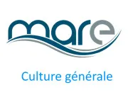 Quiz J'en ai ''mare'' !