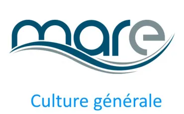 Quiz Culture générale