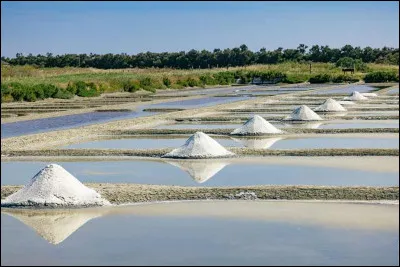 Quel est le nom de ces bassins o&ugrave; l'on fait cristalliser le sel dans les marais salants ?